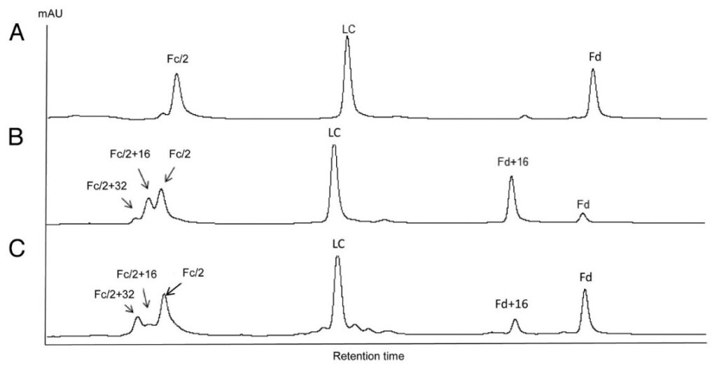 Antibody Oxidation mAbs