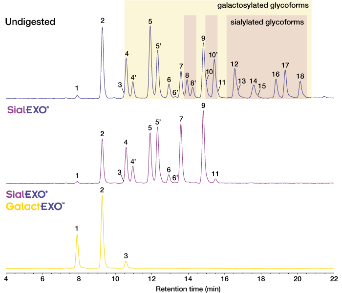 GalactEXO for Released Glycan Trimming Galactosidase