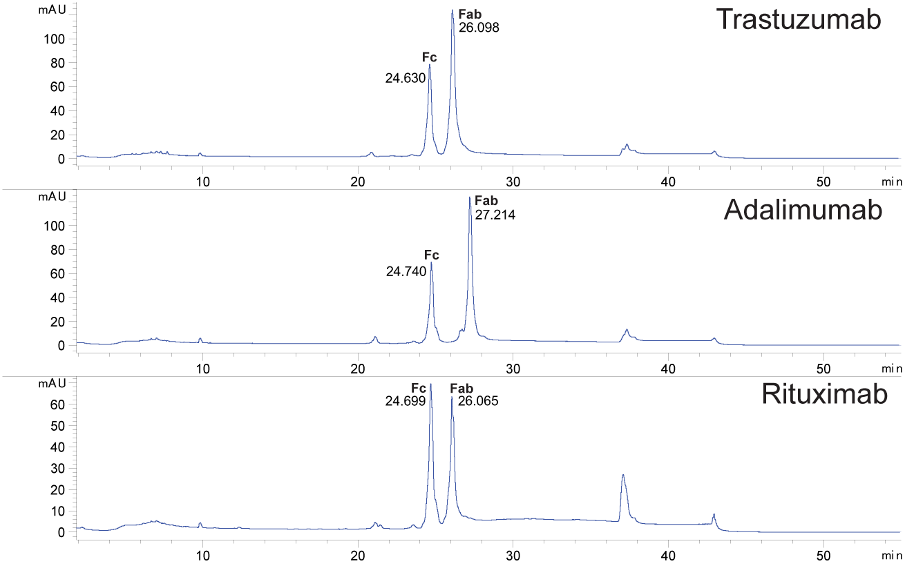 Intact Fab with GingisKHAN® first image