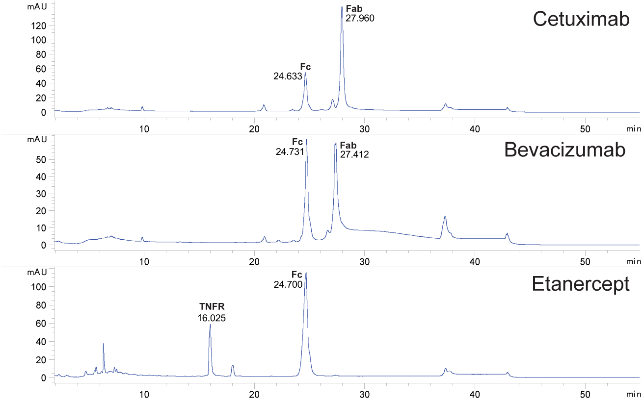 Intact Fab with GingisKHAN® second image