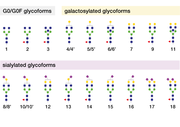galactosidase for Released Glycan Trimming