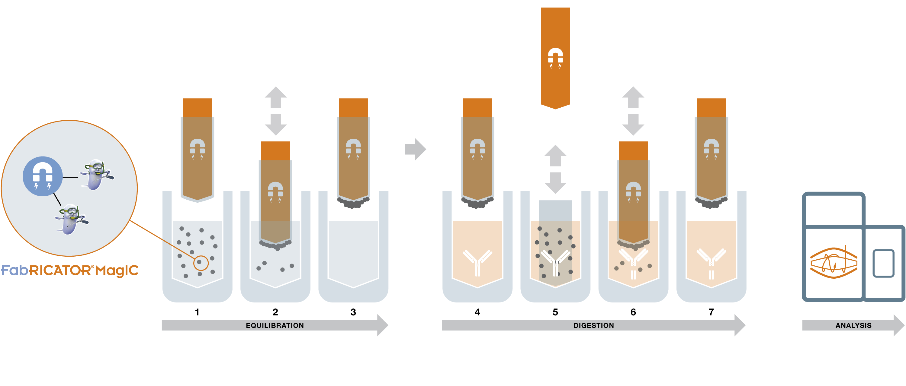 FabRICATOR MagIC workflow