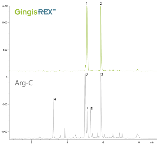 Data GingisREX - Arginine Specific