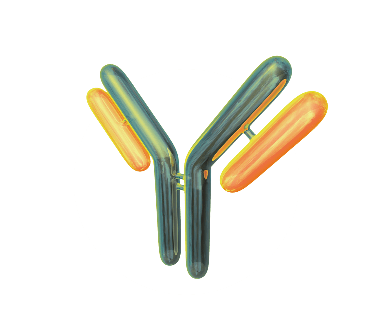 Anti-FabRICATOR workflow
