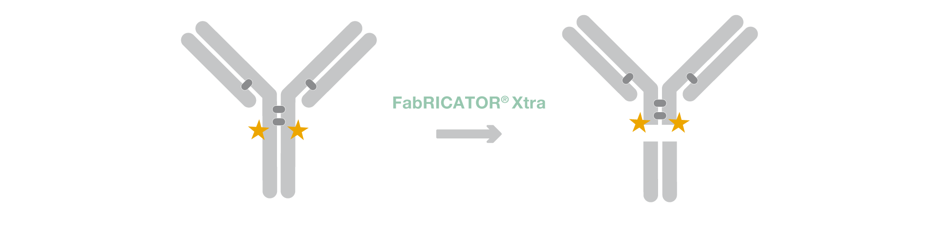 FabRICATOR Xtra workflow